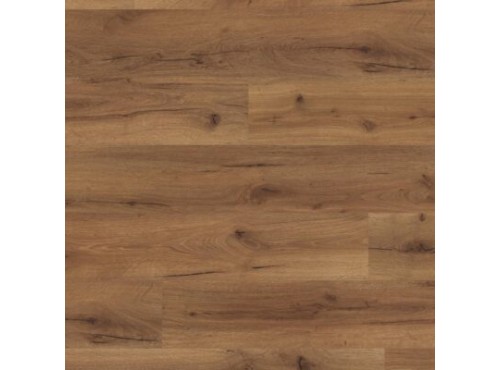 Oak Robust Fumed 